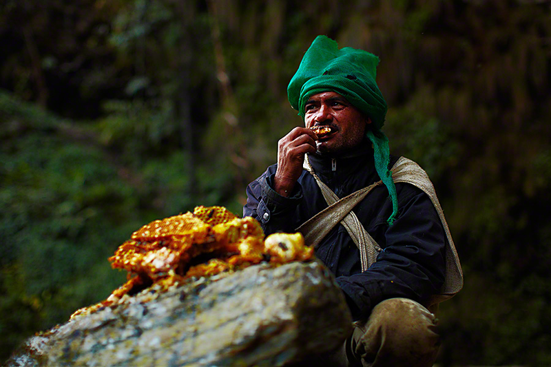Illustration for article titled Stunning photos show the ancient tradition of honey hunting in Nepal